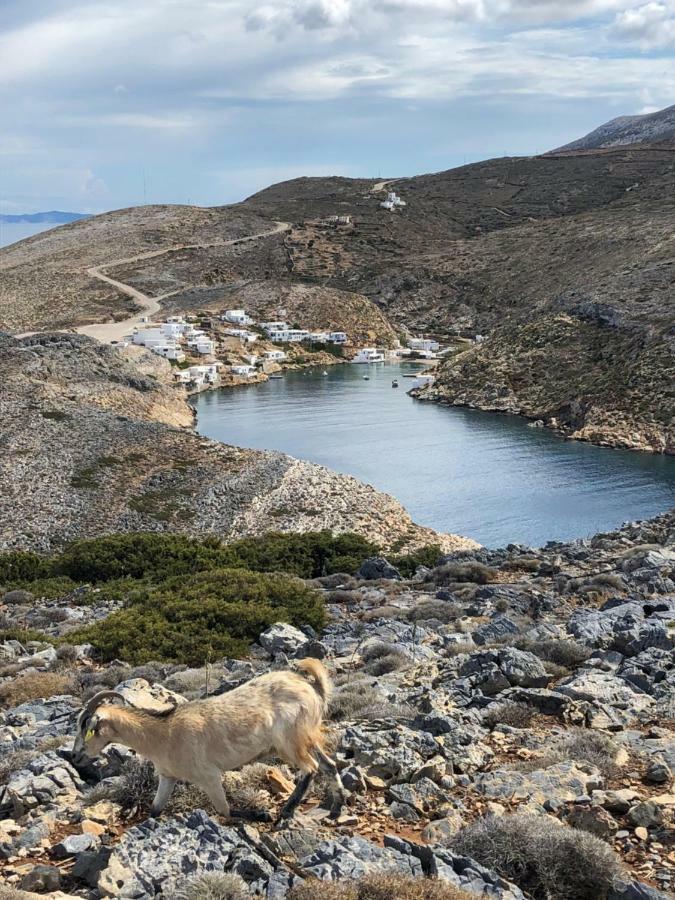 Sifnos Sea Lovers Cherronisos  エクステリア 写真